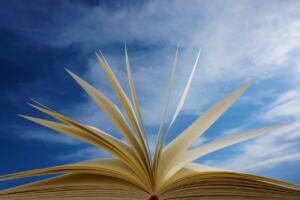 how many words in a novel chapter