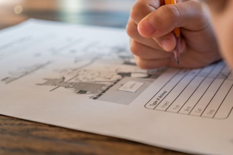 Character Development Worksheet: A Step-By-Step Guide To Build Deep, Memorable Characters In 2026