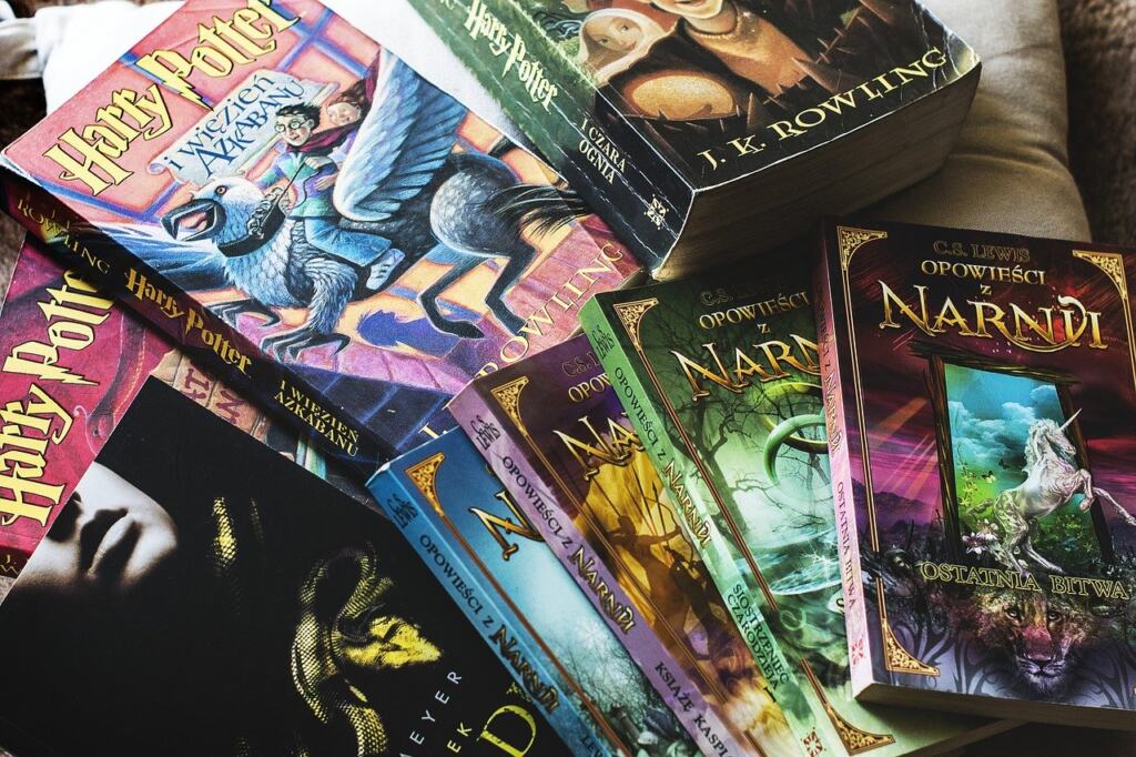 fantasy book cover design